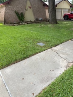 Yard put back by Livas Contracting Services, Katy TX: Grass and walk restored after the dig